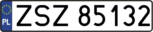 ZSZ85132