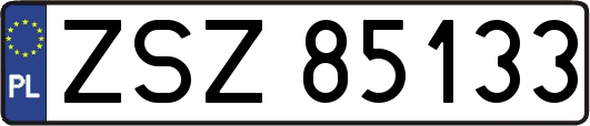 ZSZ85133