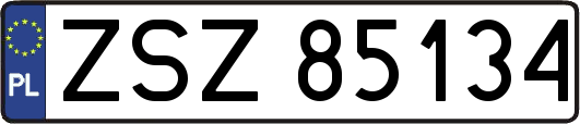 ZSZ85134
