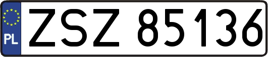 ZSZ85136