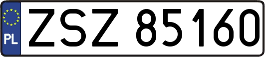 ZSZ85160