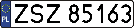 ZSZ85163