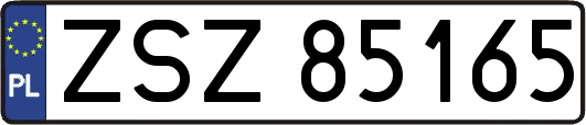 ZSZ85165