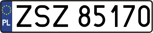 ZSZ85170