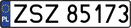 ZSZ85173