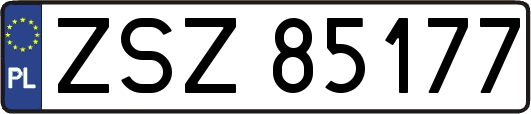 ZSZ85177