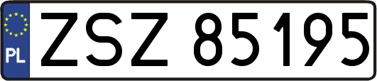 ZSZ85195