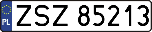 ZSZ85213
