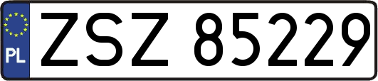 ZSZ85229