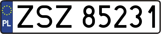 ZSZ85231