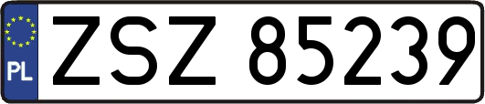 ZSZ85239