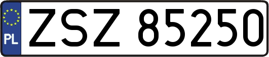 ZSZ85250