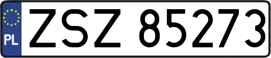 ZSZ85273