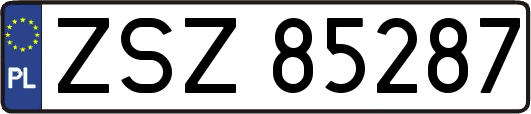 ZSZ85287