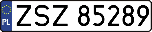 ZSZ85289