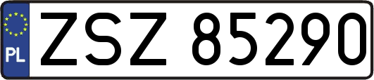 ZSZ85290