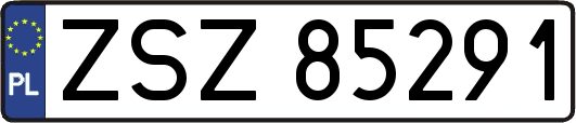 ZSZ85291