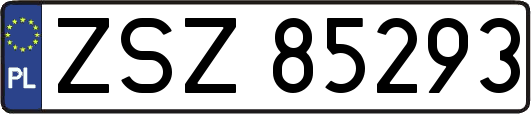 ZSZ85293