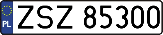 ZSZ85300