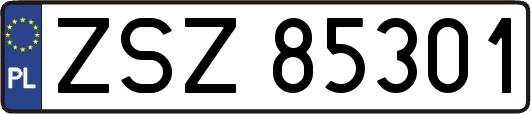 ZSZ85301