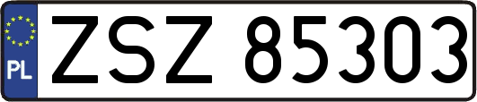 ZSZ85303