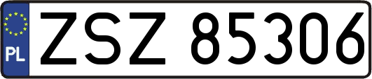 ZSZ85306