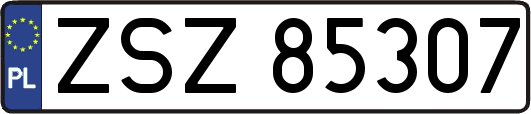ZSZ85307