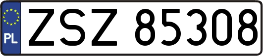 ZSZ85308