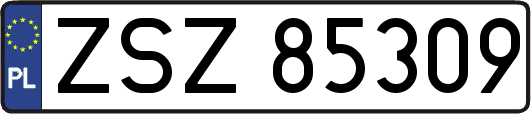 ZSZ85309