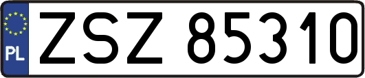 ZSZ85310