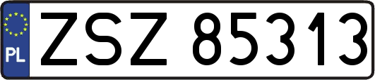 ZSZ85313