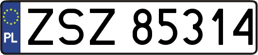 ZSZ85314