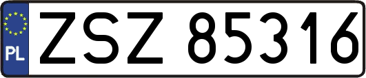 ZSZ85316