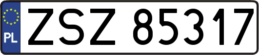 ZSZ85317