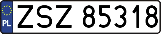 ZSZ85318