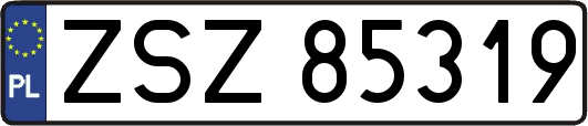 ZSZ85319
