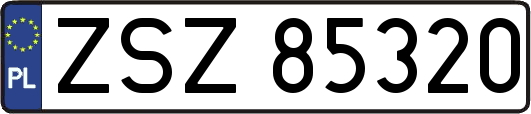ZSZ85320