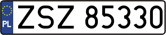 ZSZ85330
