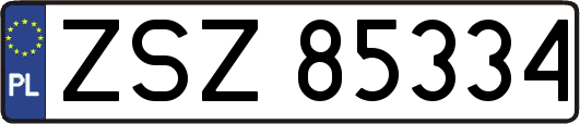 ZSZ85334