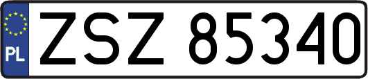 ZSZ85340