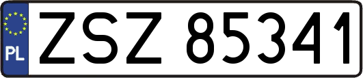 ZSZ85341