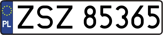 ZSZ85365