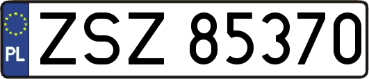 ZSZ85370