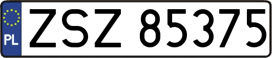 ZSZ85375