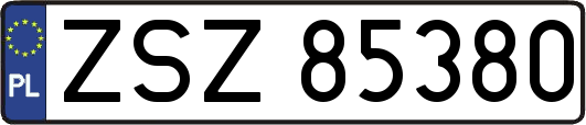 ZSZ85380