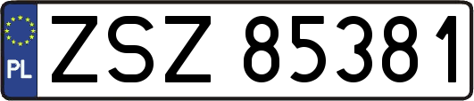 ZSZ85381