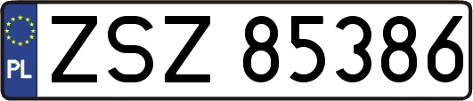 ZSZ85386