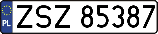 ZSZ85387