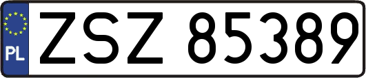 ZSZ85389