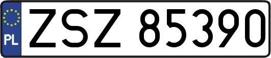 ZSZ85390
